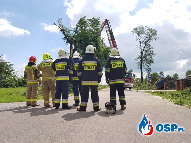Trąba powietrzna zrywała dachy i wyrywała drzewa na Lubelszczyźnie OSP Ochotnicza Straż Pożarna