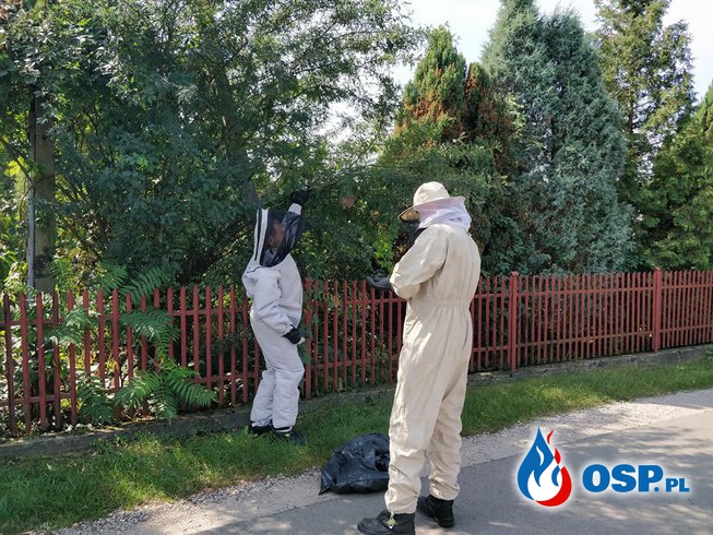 Gniazdo os - ul. Mickiewicza w Wygiełzowie OSP Ochotnicza Straż Pożarna