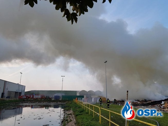 Ponad 100 strażaków, samoloty i śmigłowiec w akcji. Płonie wysypisko śmieci w Kędzierzynie-Koźlu. OSP Ochotnicza Straż Pożarna