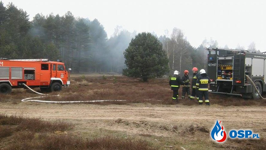Ćwiczenia z zakresu współdziałania przy pożarach lasów- Budowo- 10.04.2016 OSP Ochotnicza Straż Pożarna