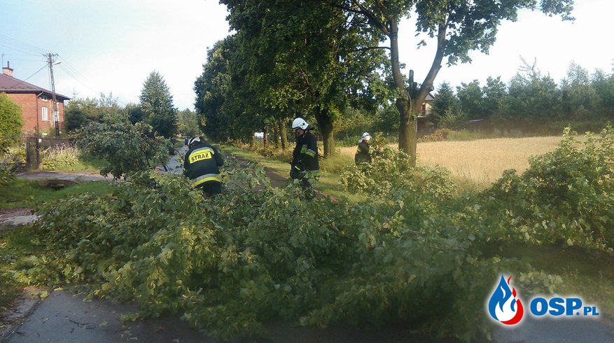 Pracowite popołudnie iłżeckich strażaków. OSP Ochotnicza Straż Pożarna