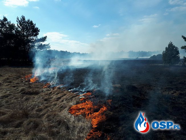 Pożar traw! OSP Ochotnicza Straż Pożarna