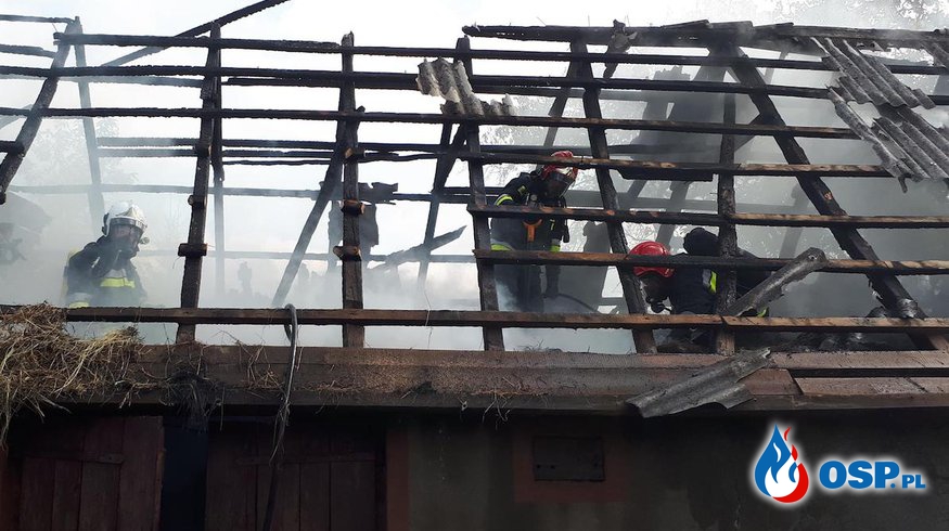 Pożar budynku mieszkalnego. W środku znaleziono ciało kobiety. OSP Ochotnicza Straż Pożarna