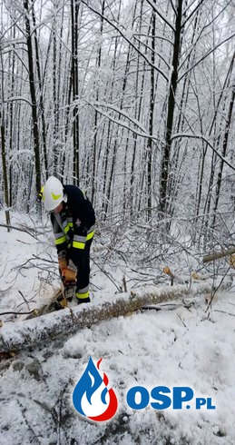 Usuwanie połamanych drzew OSP Ochotnicza Straż Pożarna