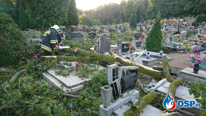 Powalony konar na cmentarz OSP Ochotnicza Straż Pożarna