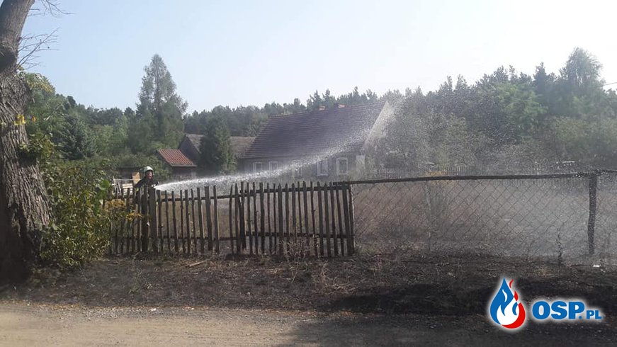 Groźny Pożar Traw w pobliżu budynków mieszkalnych !! OSP Ochotnicza Straż Pożarna