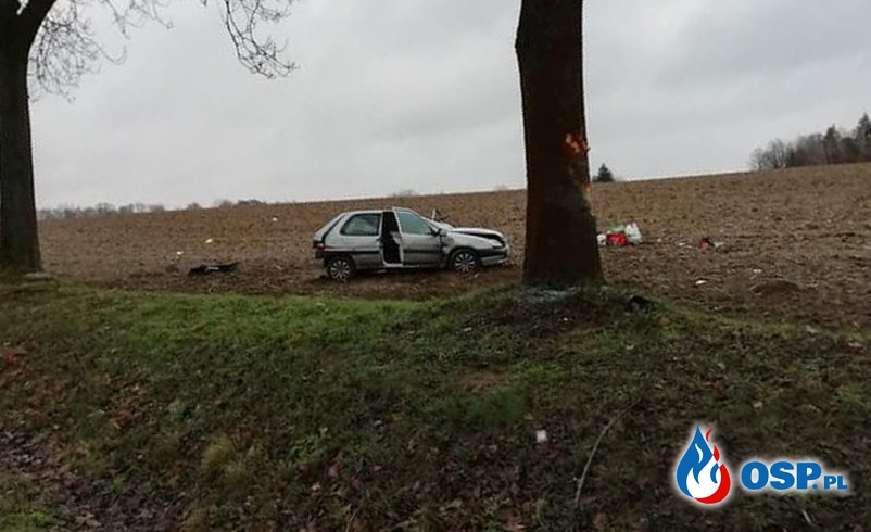 Wypadek na DK 11, niedaleko Strzeleckiego Gaju. Samochód uderzył w drzewo. OSP Ochotnicza Straż Pożarna