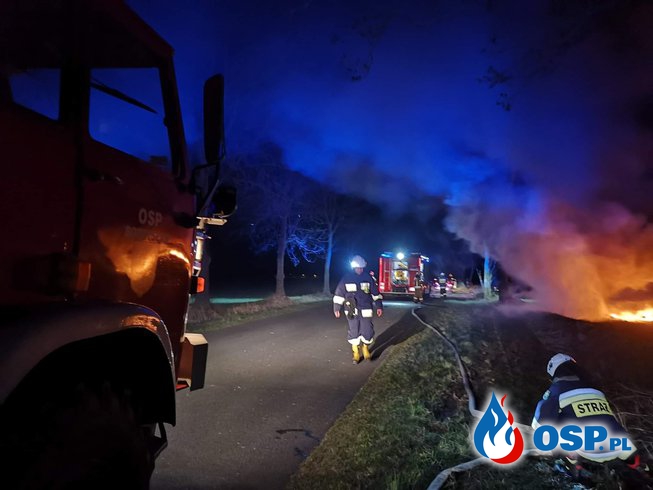 Auto spłonęło po uderzeniu w drzewo. Pijany kierowca cudem uniknął śmierci. OSP Ochotnicza Straż Pożarna