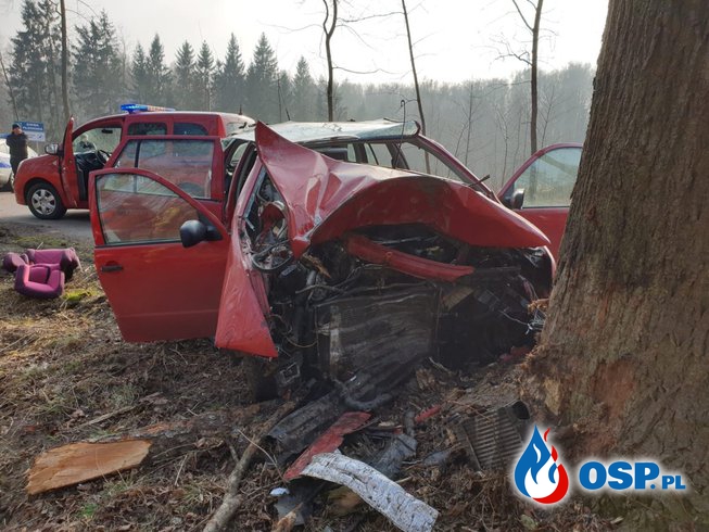 Nie żyje naczelnik OSP. 35-letni strażak zginął w wypadku pod Braniewem. OSP Ochotnicza Straż Pożarna