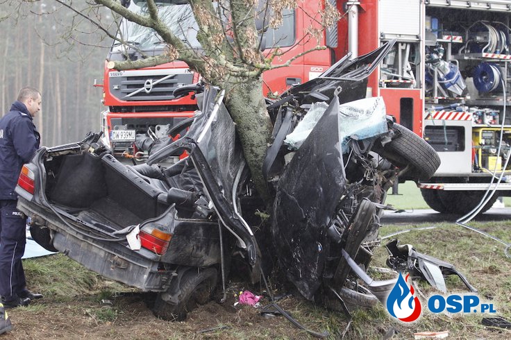 BMW owinęło się wokół drzewa. Dosłownie! "Kierowca oszukał przeznaczenie". OSP Ochotnicza Straż Pożarna