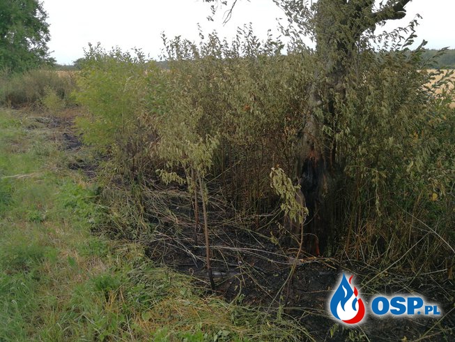 Niebezpieczny pożar trawy OSP Ochotnicza Straż Pożarna