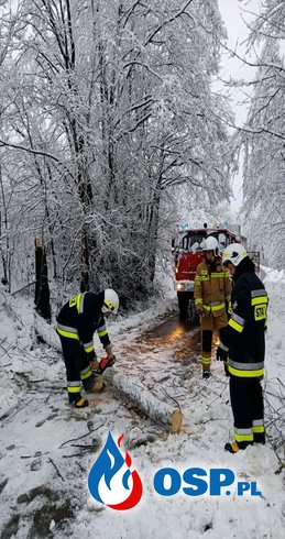 Usuwanie połamanych drzew OSP Ochotnicza Straż Pożarna