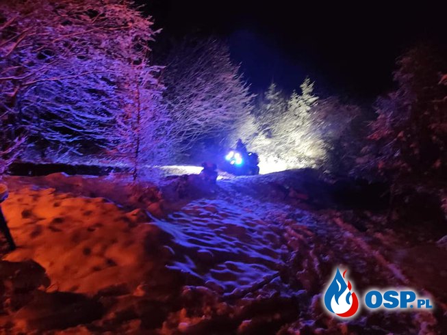 Nocny pożar w lesie. Drewniana wiata doszczętnie spłonęła. OSP Ochotnicza Straż Pożarna