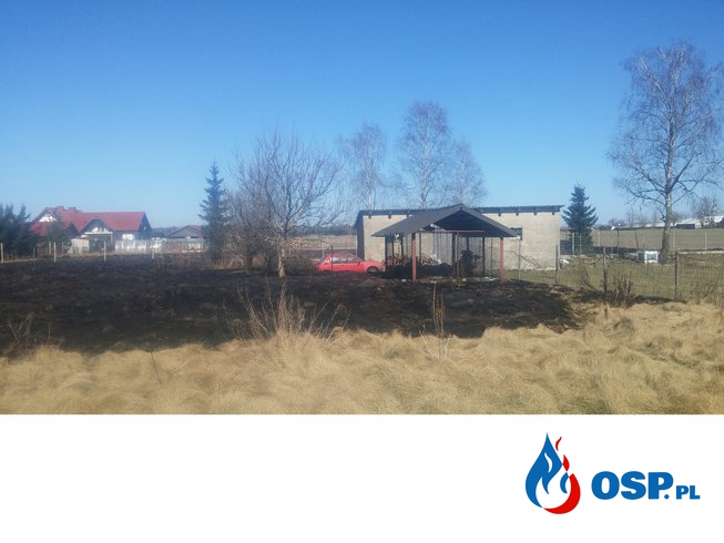 Pożar trawy w miejscowości Samborowo OSP Ochotnicza Straż Pożarna
