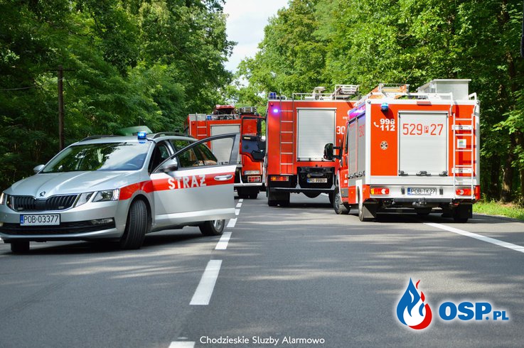 6-letni chłopiec zginął w wypadku. Auto czołowo zderzyło się z ciężarówką. OSP Ochotnicza Straż Pożarna
