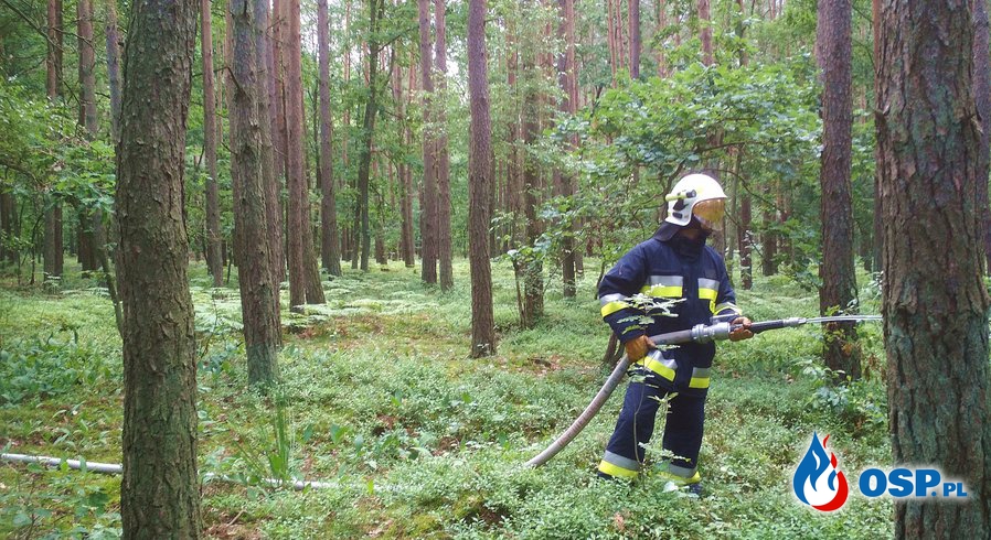 Las 2017 - Ćwiczenia Przyjezierze OSP Ochotnicza Straż Pożarna