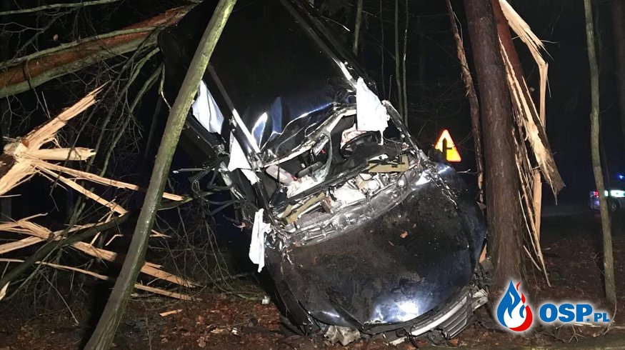 Lexus koziołkując złamał kilka drzew. Kierowca zginął. OSP Ochotnicza Straż Pożarna