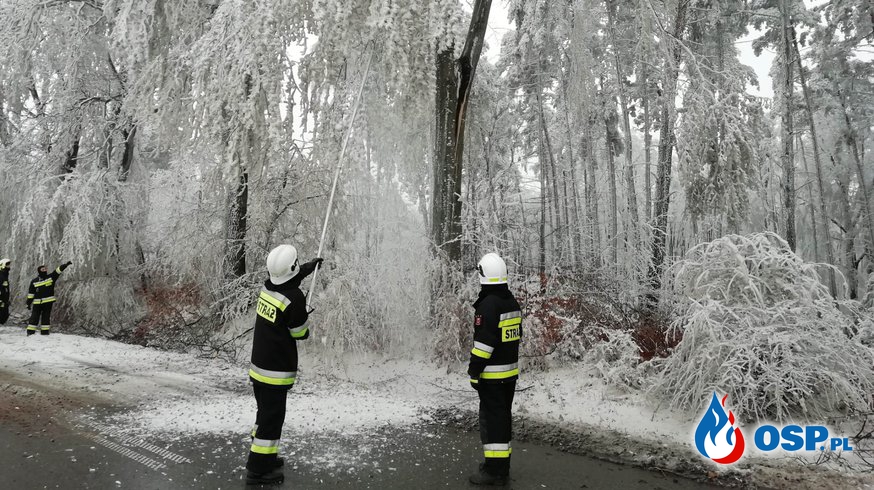 Usuwanie gałęzi z jezdni - Ryczów ul. Jana Pawła II OSP Ochotnicza Straż Pożarna