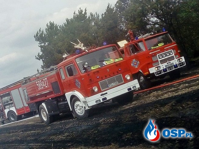 Pożar zboża, ścierniska i drzew wokół zabudowania - Ostrowo OSP Ochotnicza Straż Pożarna
