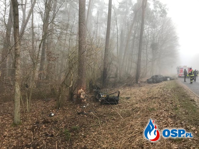 Auto rozpadło się na części po zderzeniu z drzewem. Zginął 38-letni kierowca. OSP Ochotnicza Straż Pożarna
