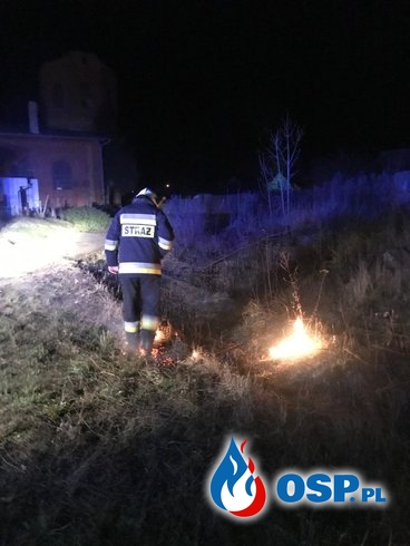 184/2019 Pożar trawy przy torach OSP Ochotnicza Straż Pożarna