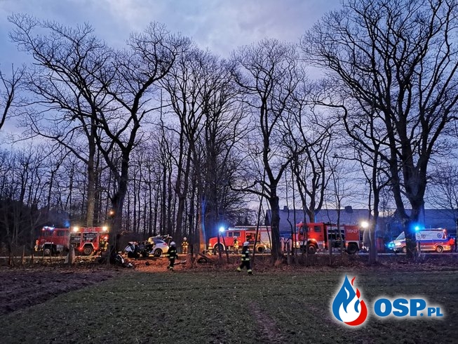 Rodzice z małym dzieckiem zginęli w wypadku. Tragedia pod Opolem. OSP Ochotnicza Straż Pożarna