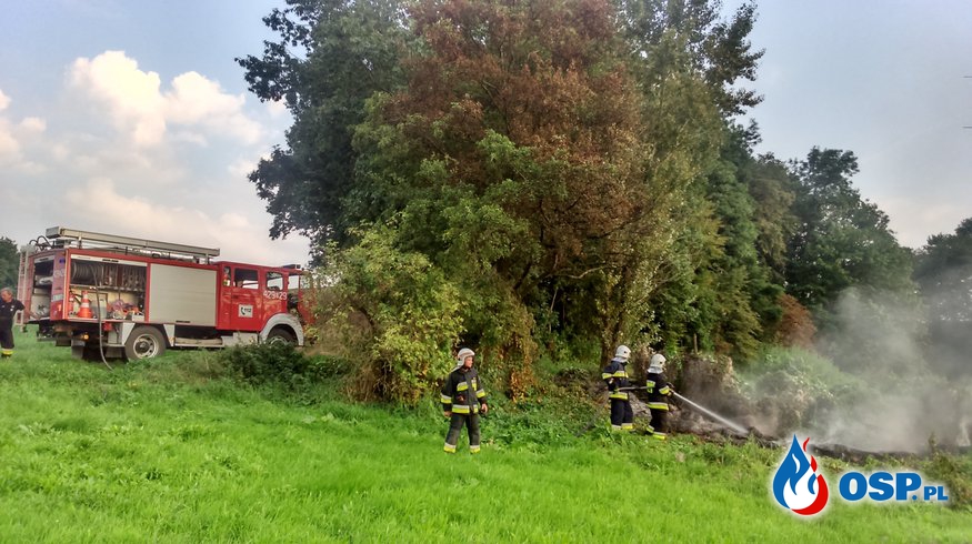 Pożar nieużytków w miejscowości Łany OSP Ochotnicza Straż Pożarna