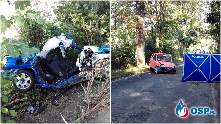 Zderzenie subaru z fiatem na Śląsku. Dwie osoby nie żyją, trzy są ranne. OSP Ochotnicza Straż Pożarna