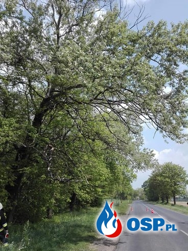 Przewrócone drzewo w miejscowości Makówiec! OSP Ochotnicza Straż Pożarna