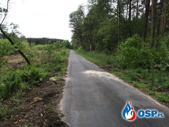 74/2019 Drzewo zablokowało drogę OSP Ochotnicza Straż Pożarna