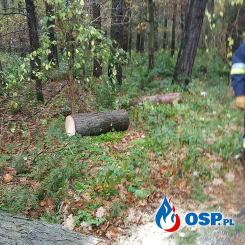 Pieski -kolejne drzewo blokowalo drogę OSP Ochotnicza Straż Pożarna