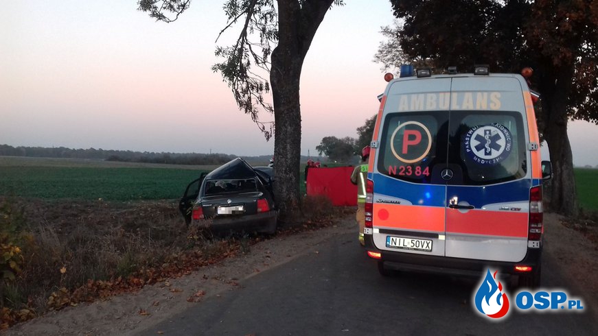 Passat rozbił się na drzewie. W akcji LPR. Dwóch mężczyzn nie udało się uratować. OSP Ochotnicza Straż Pożarna