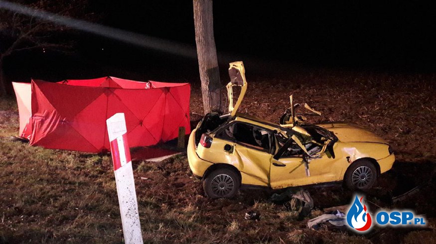 Dwóch nastolatków zginęło w wypadku pod Jarocinem. Kierowca nie miał prawa jazdy. OSP Ochotnicza Straż Pożarna