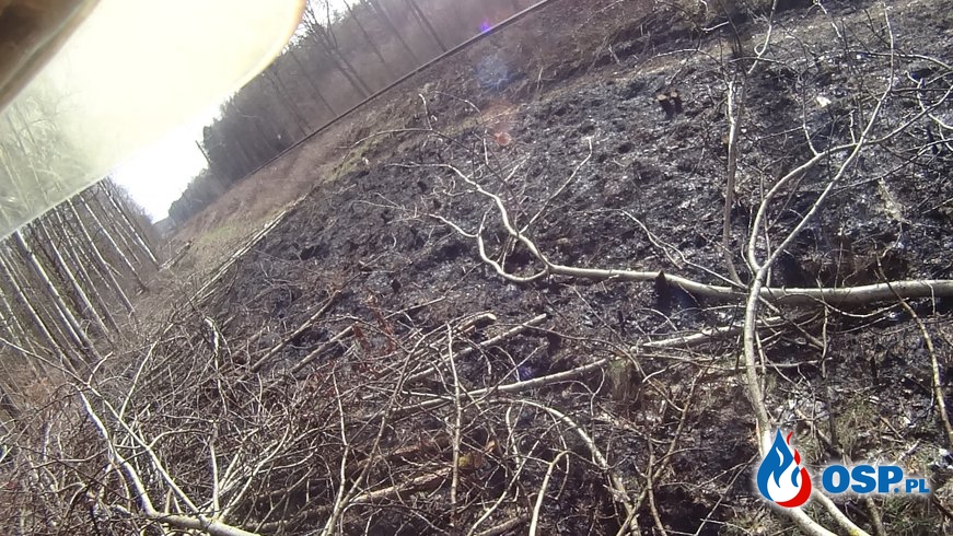 Pali się trawa w miejscowości Bierzwnik OSP Ochotnicza Straż Pożarna