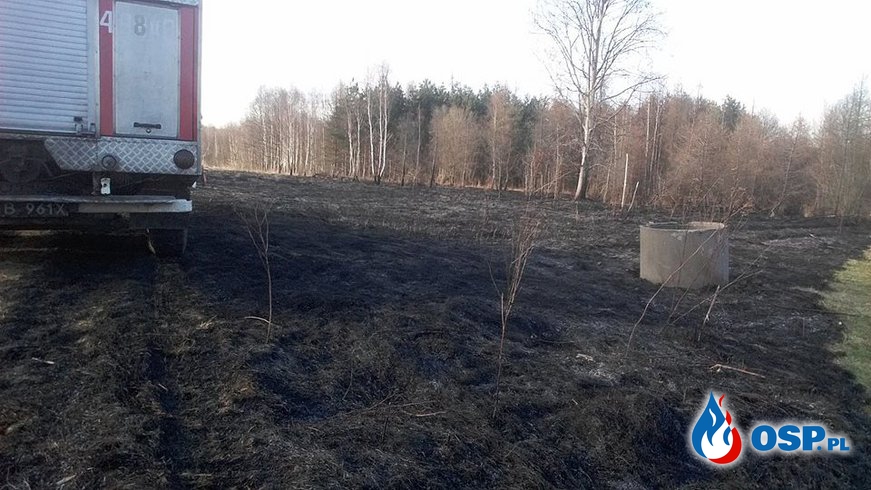 26.03.17 - Pożar traw w Sołtykowie. OSP Ochotnicza Straż Pożarna