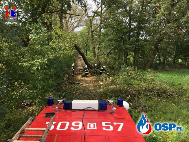  Usuwanie skutków orkanu OSP Ochotnicza Straż Pożarna