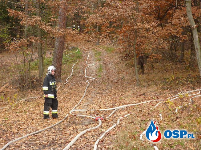 Gminne ćwiczenia w lesie ( Grajów ) OSP Ochotnicza Straż Pożarna