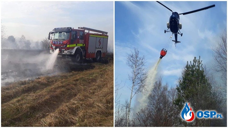15 hektarów traw spłonęło pod Częstochową. W akcji śmigłowiec gaśniczy. OSP Ochotnicza Straż Pożarna