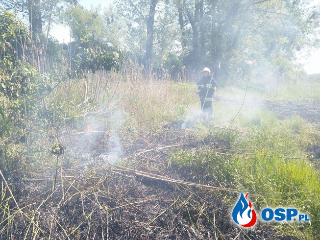 Pożar trzciny w Starym Objezierzu OSP Ochotnicza Straż Pożarna