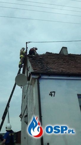 79-80/2019 Połamane drzewa, zerwany dach, uszkodzone linie energetyczne OSP Ochotnicza Straż Pożarna
