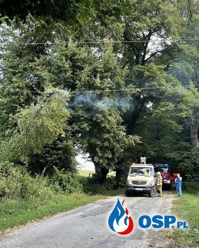 Drzewo spadło na linię energetyczną OSP Ochotnicza Straż Pożarna