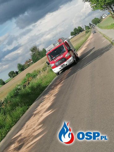 [Zdarzenie nr 4] Plama oleju na drodze Morzewo-Krzewina / Krzewina-Milcz OSP Ochotnicza Straż Pożarna