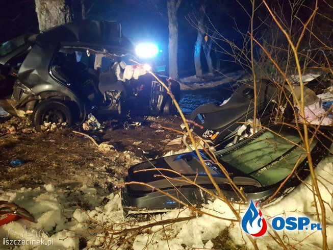 Auto z ogromną siłą uderzyło w drzewo. Zginął 28-letni kierowca. OSP Ochotnicza Straż Pożarna