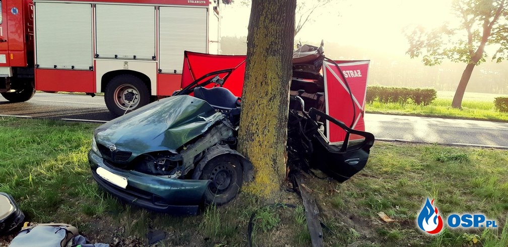 Samochód wbił się w drzewo. Kierująca nim kobieta zginęła. OSP Ochotnicza Straż Pożarna