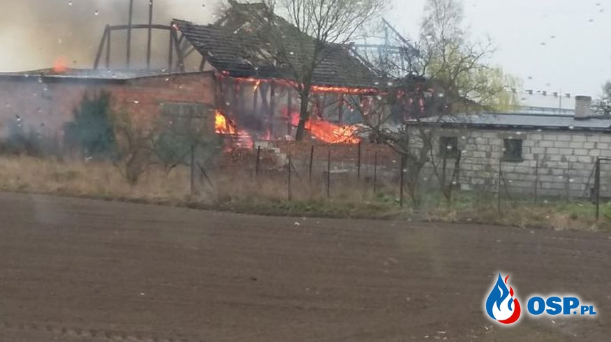 Pożar stodoły w Zielniczkach (gm. Środa Wlkp.) OSP Ochotnicza Straż Pożarna