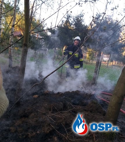 Pożar lasu w Szydłówcu OSP Ochotnicza Straż Pożarna