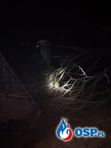 Drzewo spadło na budynek mieszkalny. OSP Ochotnicza Straż Pożarna