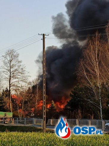 Duży pożar zakładu stolarskiego. Straty sięgają pół miliona złotych. OSP Ochotnicza Straż Pożarna