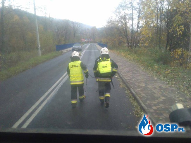 Plama oleju OSP Ochotnicza Straż Pożarna