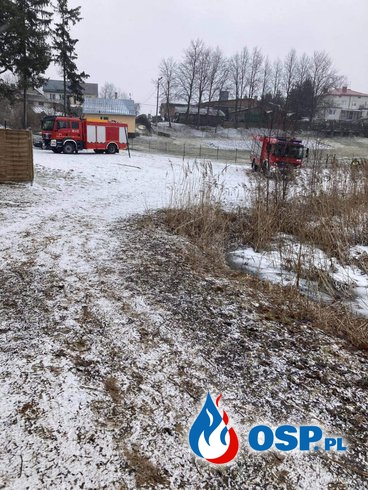 Szczeniaki utknęły na lodzie. Strażacy ruszyli z pomocą. OSP Ochotnicza Straż Pożarna